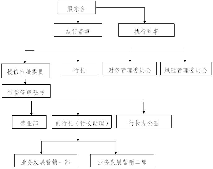 苍梧深通村镇银行组织架构.jpg